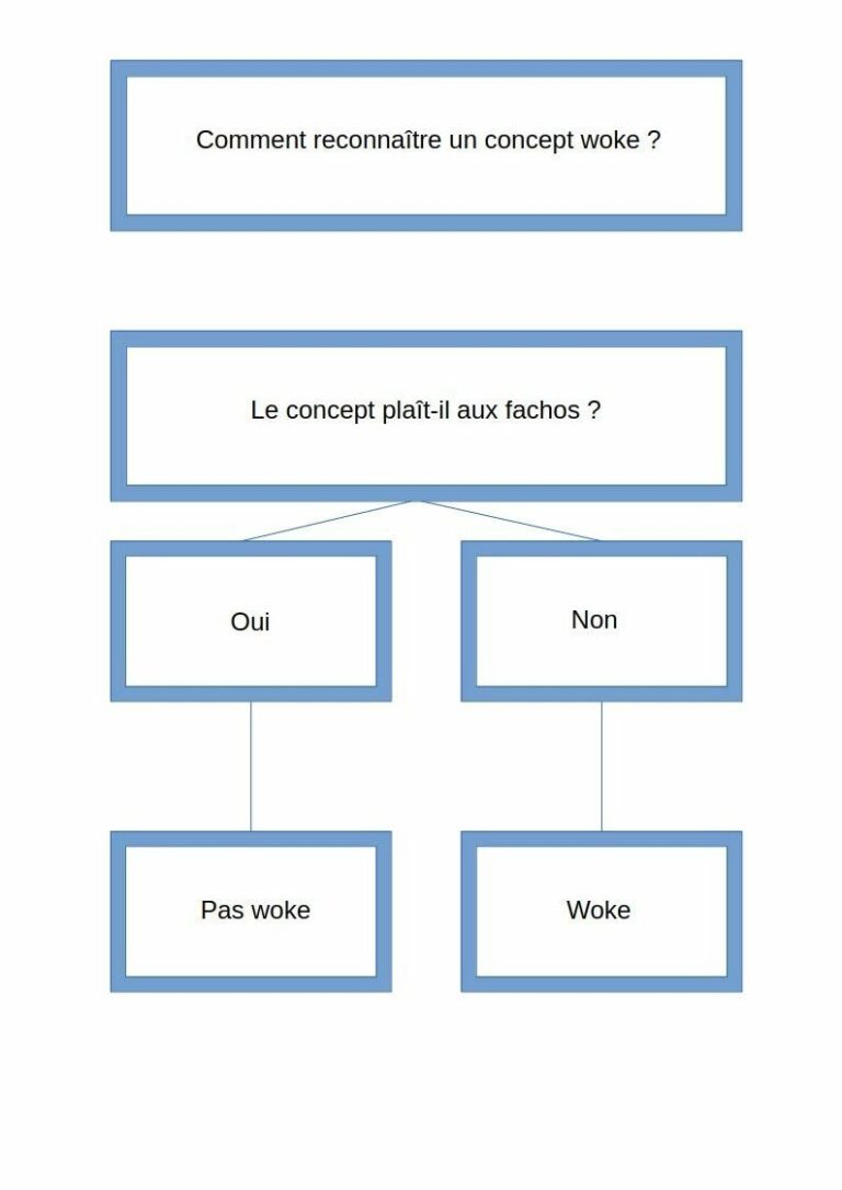 Schéma humoristique expliquant comment reconnaître un concept woke selon qu’il plaît ou non à l’extrême droite.