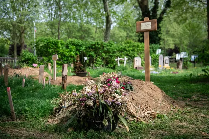 Tombes écologiques : même morts, on peut faire mieux