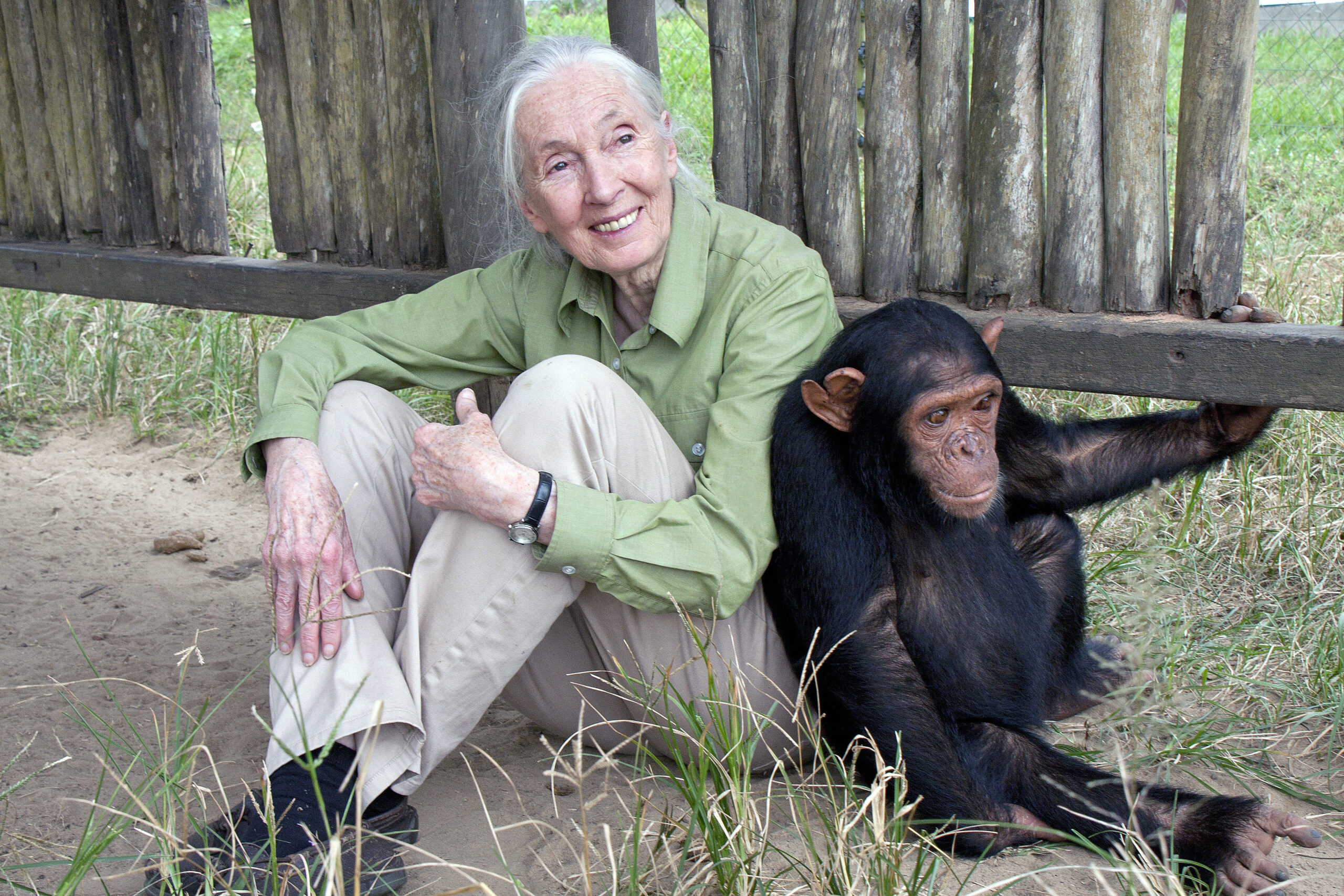 Jane Goodall est morte
